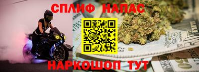 spice Славгород
